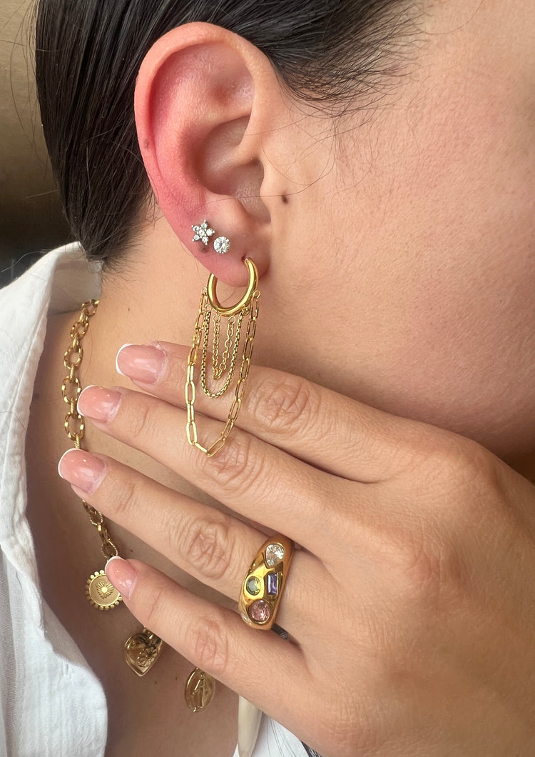 Earrings